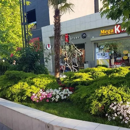 Gagarin Plaza аркадия вид на море *